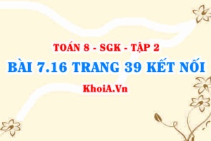 Bài 7.16 trang 39 Toán 8 Kết nối tri thức Tập 2